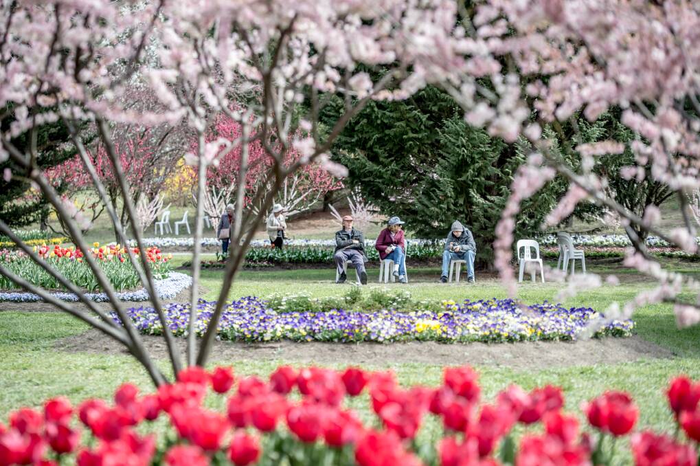 The music-filled 10-acre garden of Tulip Top comes alive in spring. Photo: Karleen Minney
