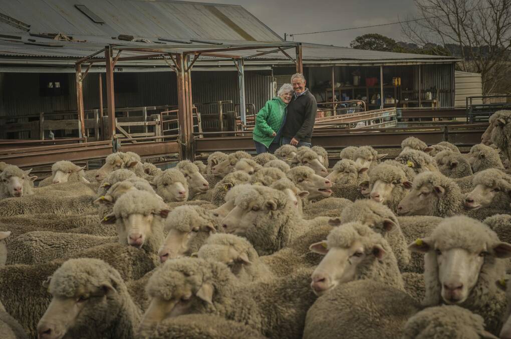 Gunning sheep farmers Greg and Trish Hallam on their farm. They still love their life on the land. Photo: Karleen Minney