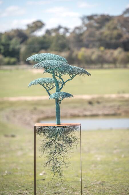 One of the sculptures at the Shaw vineyard event. Photo: Karleen Minney
