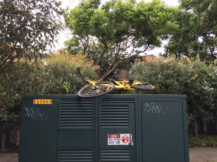 An abandoned ofo share bike in Sydney  Photo: Peter Braig