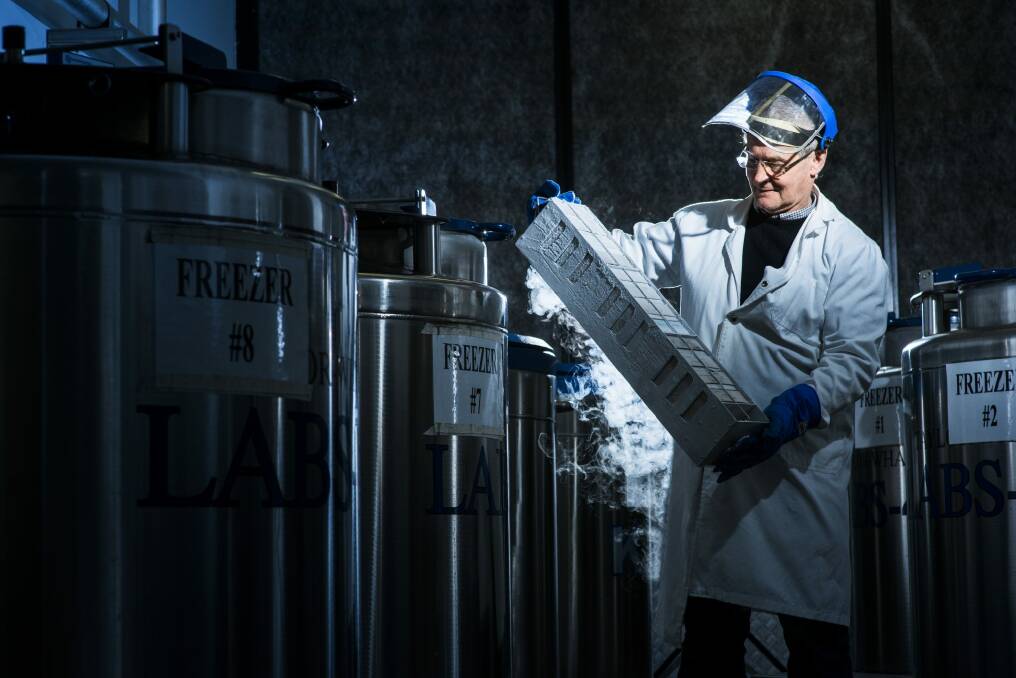 Professor Simon Easteal removes biological samples from a liquid nitrogen freezer at the John Curtin School of Medical Research at the ANU.

 Photo: Rohan Thomson