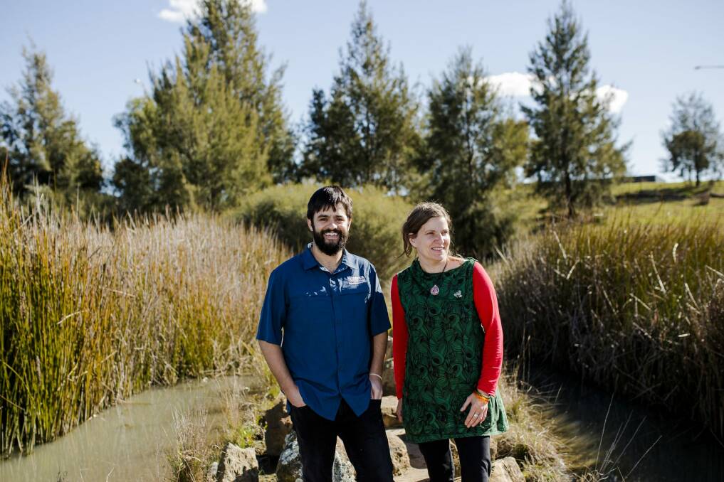 A new report, co-authored by Upper Murrumbidgee Waterwatch scientific officer Danswell Starrs, and Frogwatch coordinator with the Ginninderra Catchment group Anke Maria Hoefer, details how to better create and maintain wetlands. Photo: Jamila Toderas