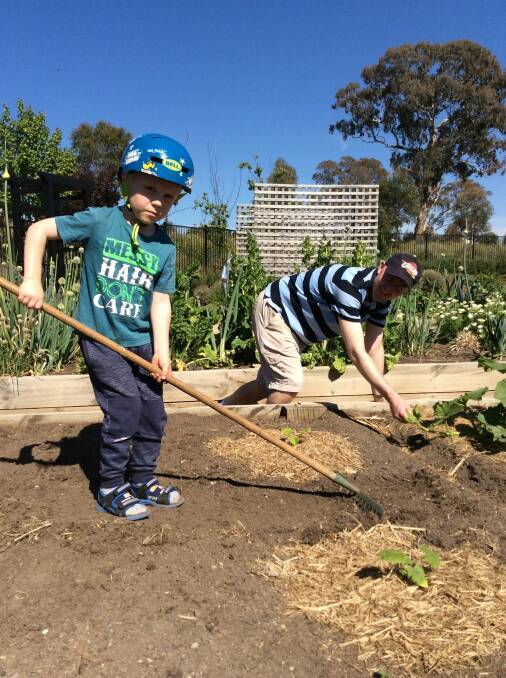 Patrick Goodchild (5) and Nathan Goodchild in their new organic plot at Crace.  Photo: Susan Parsons