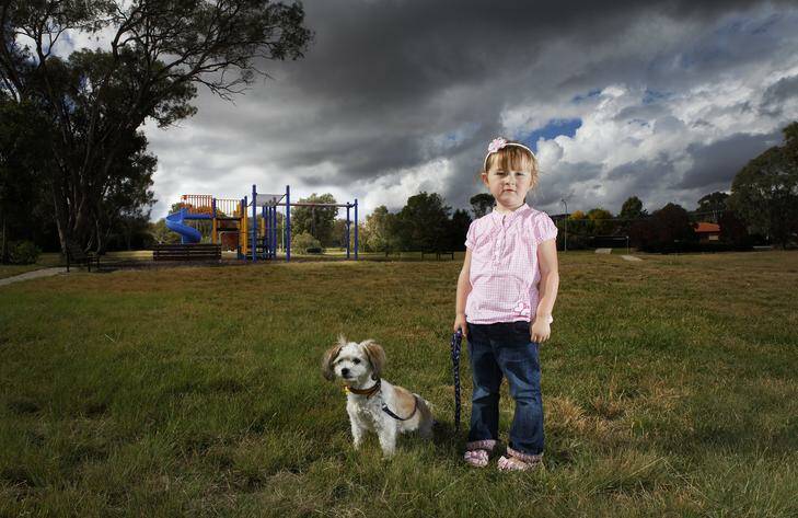 Local residents are upset due to the government building new units on their local park. Park located at the intersection of Deamer and Heagney Crescent, Chisholm. Natasha King, age 3, lives in Chisholm, with puppy Mandy. Photo: KATHERINE GRIFFITHS
