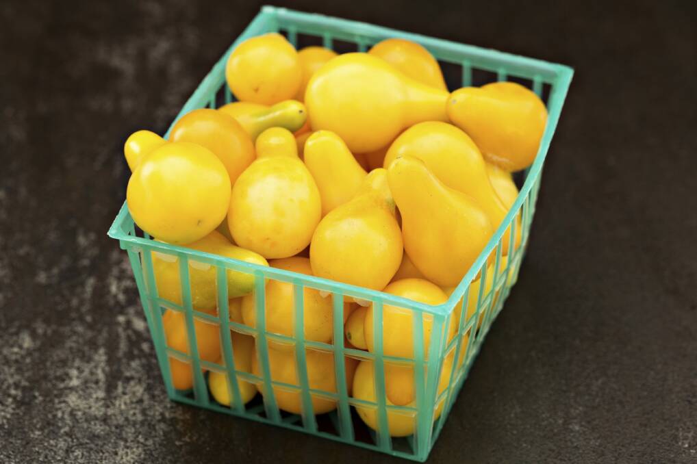 Small yellow pear tomatoes.  Photo: supplied