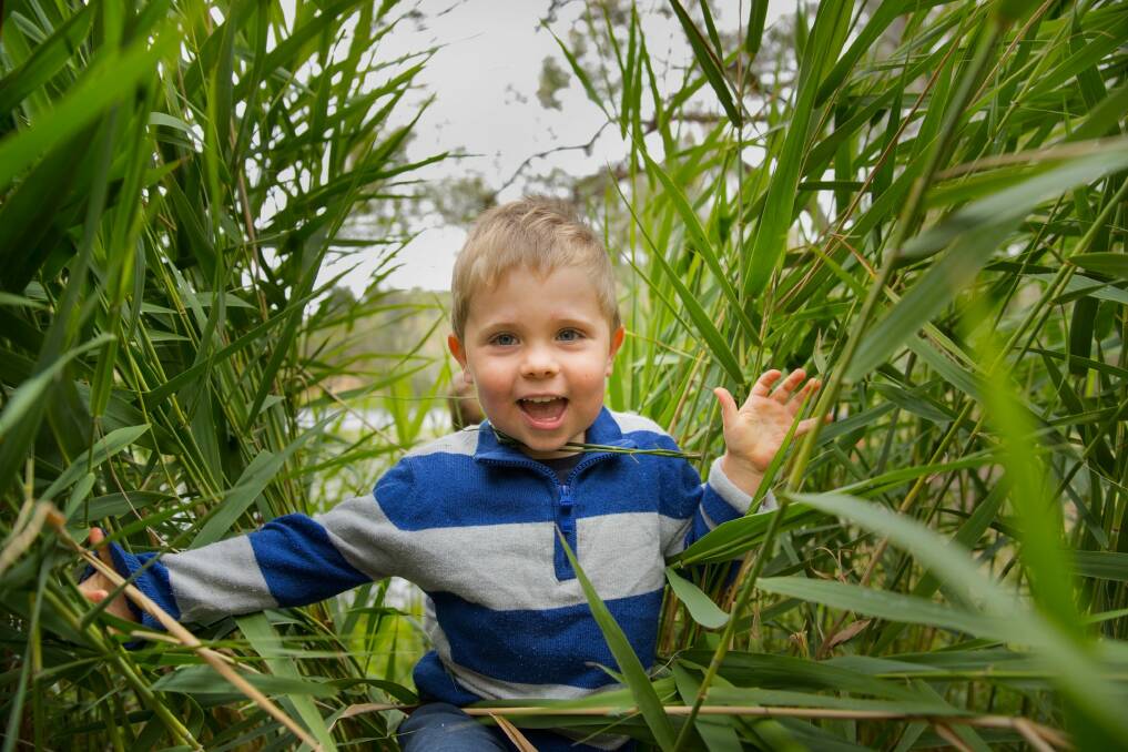Jackson Hickey bashing through the reeds.  Photo: Simon Schluter