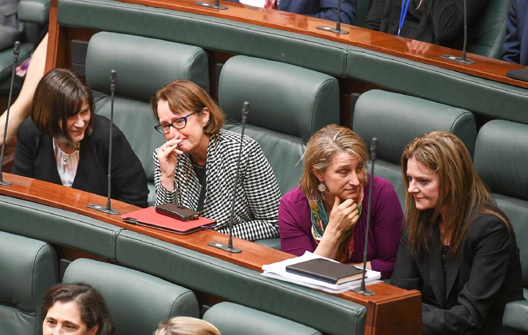 Emotional lower house MPs after the bill passed. Photo: Justin McManus