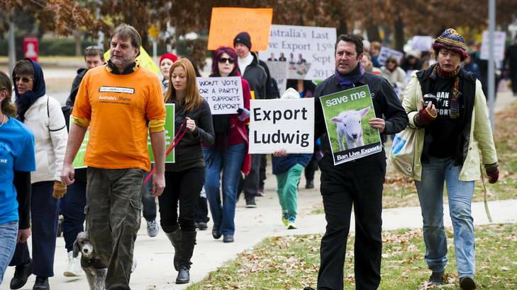 About 100 animal welfare activists marched on Parliament House to demand an Australian ban on live animal exports. Photo: Rohan Thomson