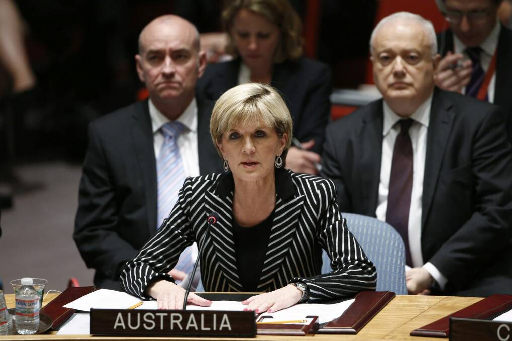 Pushing for a tribunal to prosecute the people who shot down MH17: Foreign Affairs Minister Julie Bishop speaks to members of the Security Council during a UN meeting last year. Photo: Reuters