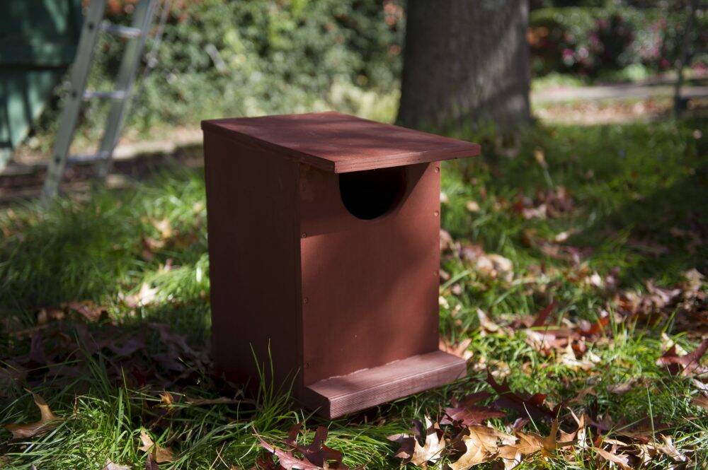 A possum box, which is put in a tree to discourage possums from roof cavities. Photo: Rohan Thomson
