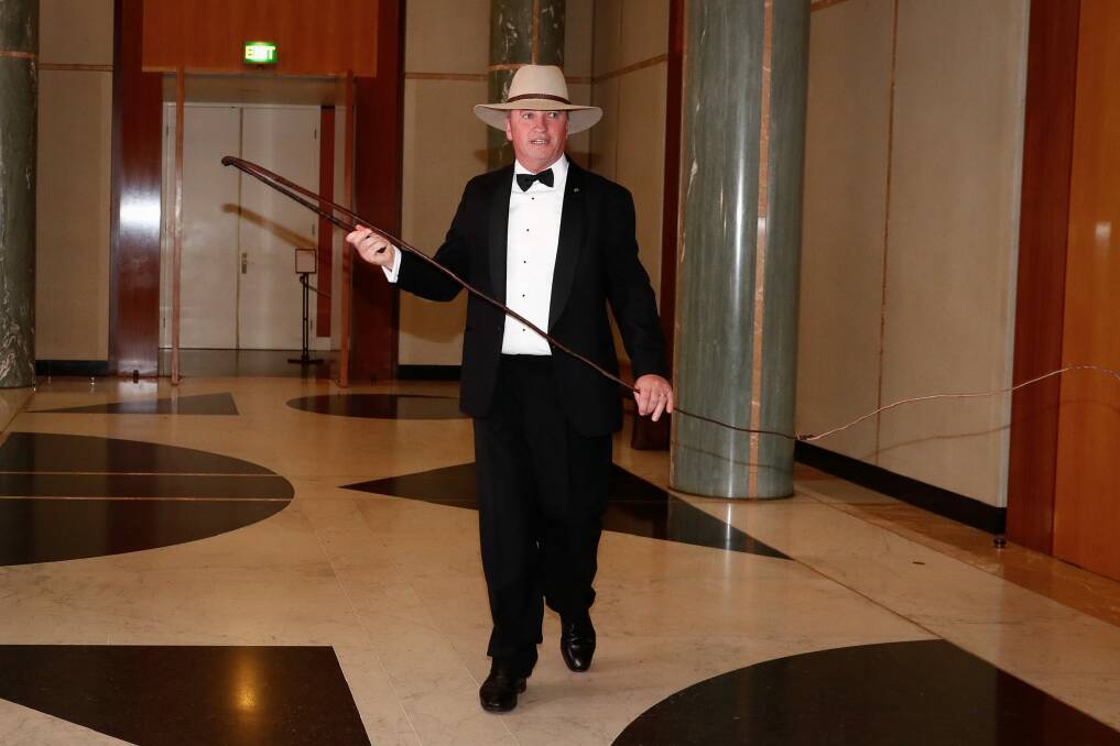Deputy Prime Minister Barnaby Joyce cracks the whip as he arrives for the Midwinter Ball at Parliament House on Wednesday night. Photo: Alex Ellinghausen