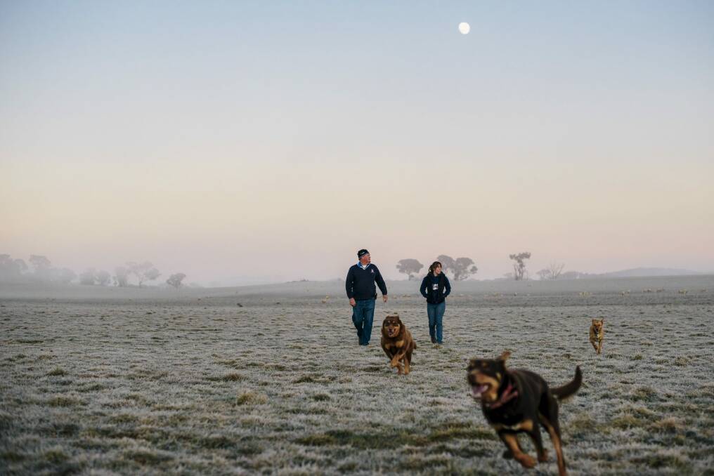 Pelican Sheep Station owner Phil Sykes and his daughter Kimberley survey a dawn frost. Photo: Rohan Thomson