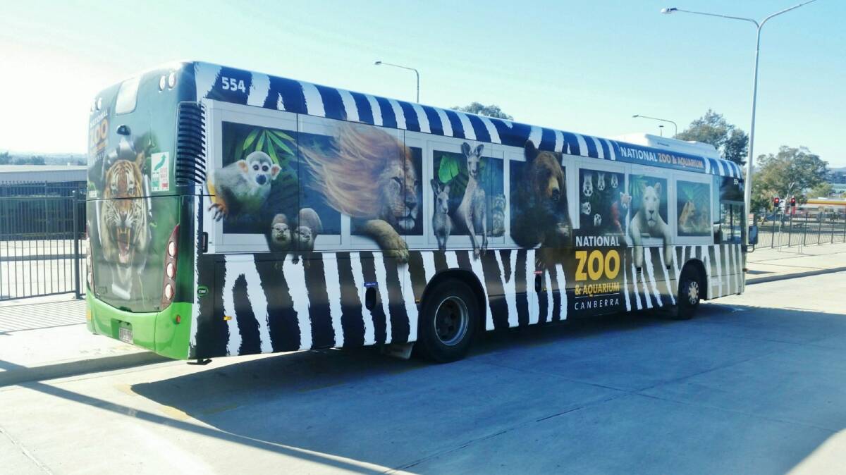 The National Zoo and Aquarium buses are on Action Bus routes all over town. Photo: Supplied