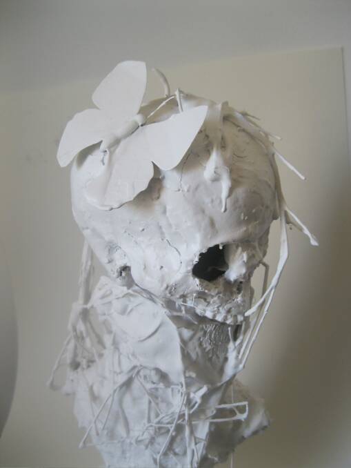 Stephen Harrison's <i>Butterfly Skull</i> was the product of time spent working in a reserve. Photo: Stephen Harrison