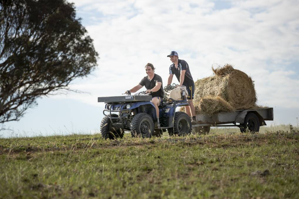 Lachlan and Ryan Lonergan at their Williamsdale farm. Photo: Sitthixay Ditthavong