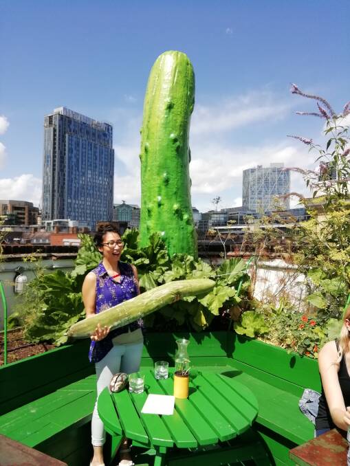 Former Canberra GoodFood editor Natasha Rudra with gherkins at The Culpeper Rooftop kitchen garden in London. Photo: Susan Parsons 
