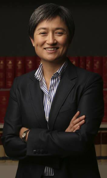 "Some social conservatives mistakenly see gender equality as being at odds with family values.": Penny Wong. Photo: Andrew Meares