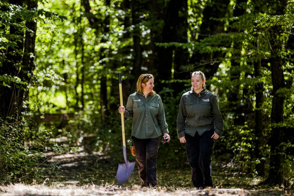 Yarralumla Nursery production manager Belinda Ryan and horticulture apprentice Elizabeth Baldwin in the dappled light of the oaks and elms at Sherwood homestead. Photo: Jamila Toderas