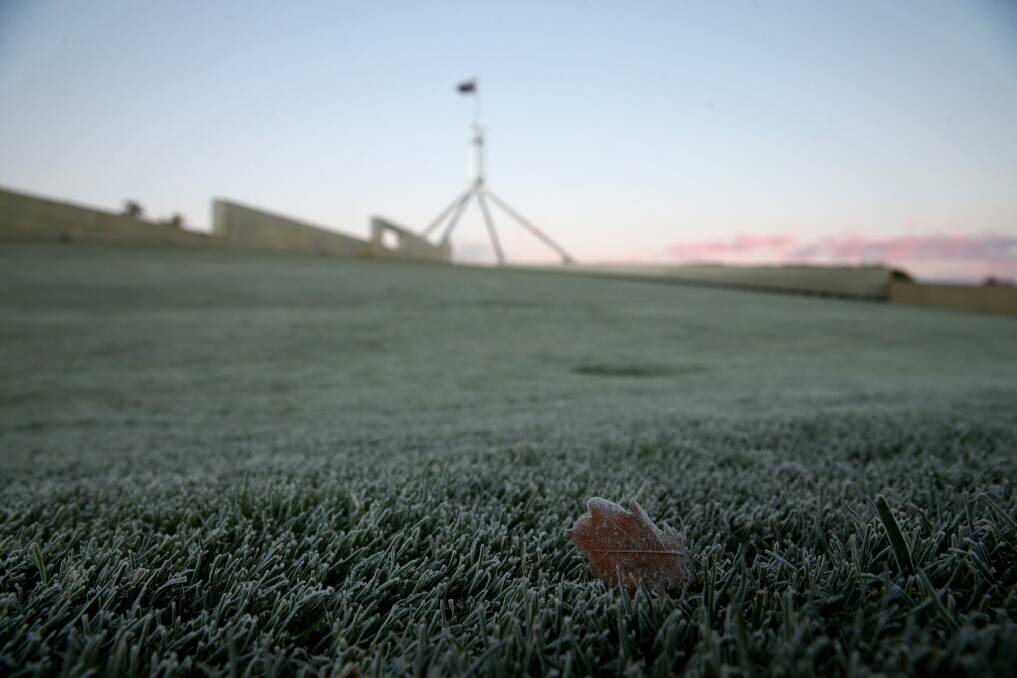 Frost outside Parliament House in Canberra on Wednesday.  Photo: Alex Ellinghausen