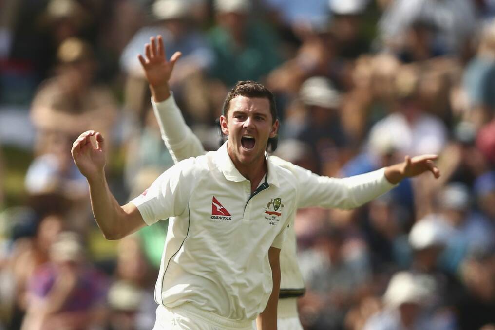 Determined: Josh Hazlewood hopes he will be reunited with Mitchell Starc in the WACA Ground Test next month. Photo: Getty Images 