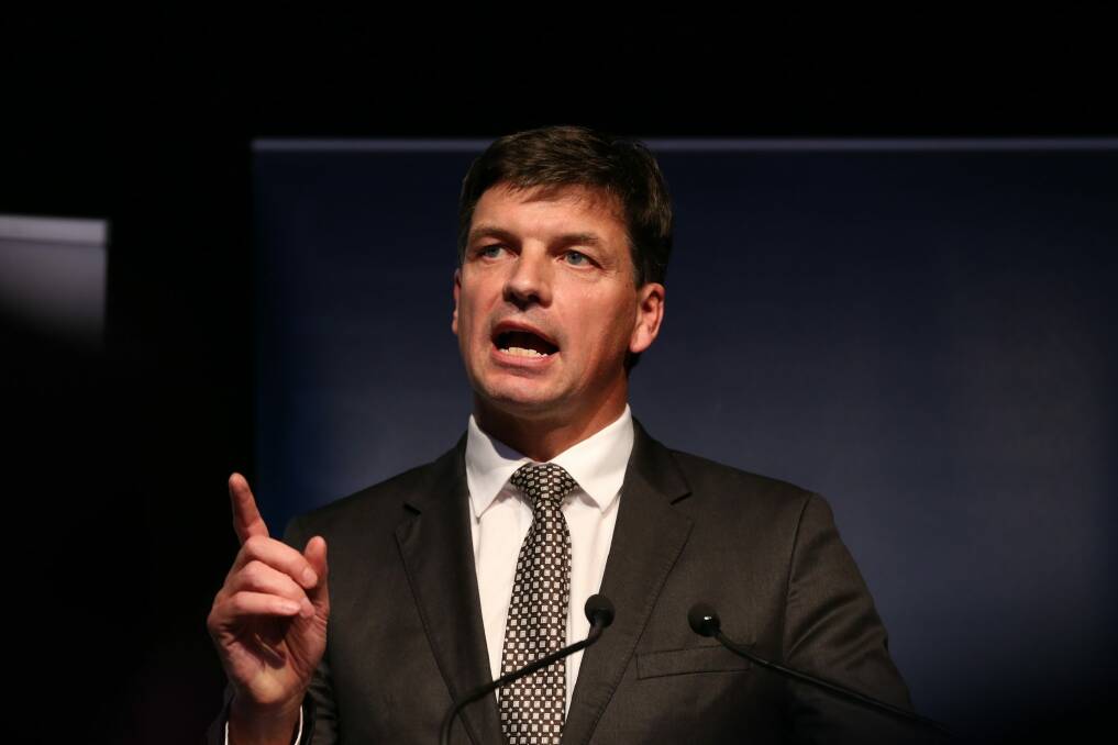 Digital Innovation Minister Angus Taylor.  Photo: Louise Kennerley