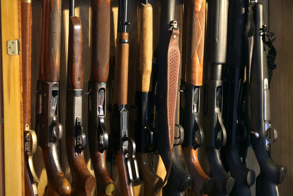Rifles, pistols and revolvers were among guns the judge said must be forfeited.  Photo: Supplied 