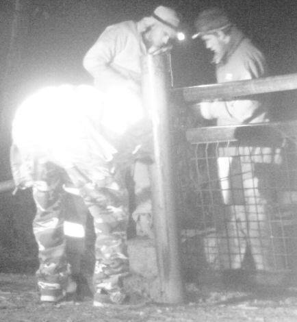 A group of men who police would like to speak to about gate cutting at Namadgi. Photo: ACT Policing