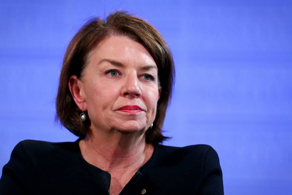 Anna Bligh defended the banking industry in an address to the National Press Club. Photo: Alex Ellinghausen