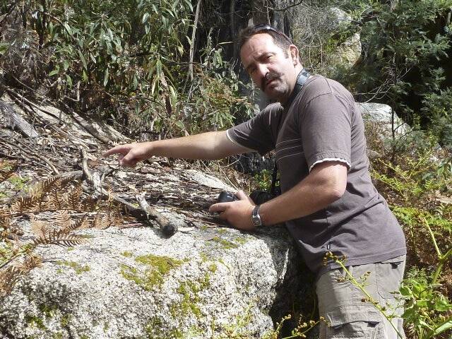 Stuart Harris at the location in Namadgi where he discovered a new species of Peacock spider. Photo: Tim the Yowie Man