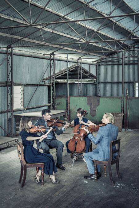 The Australian String Quartet will give three concerts in Canberra this year. Photo: Supplied