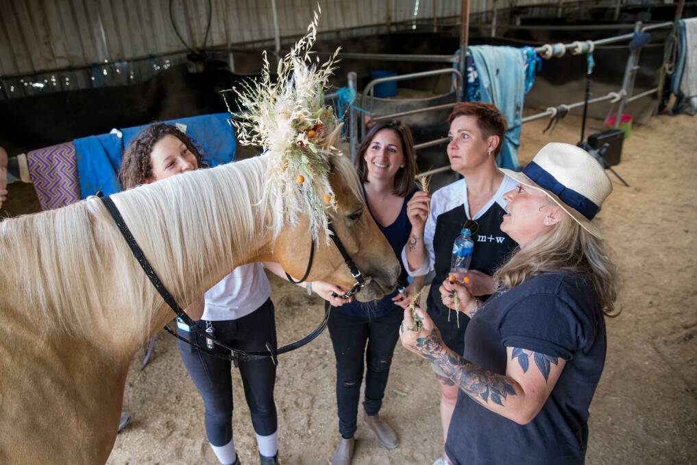 Behind the scenes of a <i>Blooming</i> photo shoot: Shredder the Palamino with (from left) owner Pia Cunningham, photographer Grace Costa Banson, and florists Belinda Whitney and Loulou Moxom.  Photo: Linda Roche