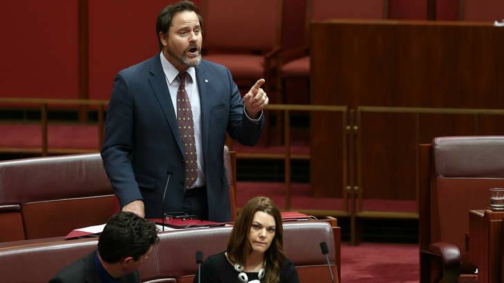 Greens Senator Peter Whish-Wilson speaks in the Senate against the repeal of the mining tax. Photo: Alex Ellinghausen