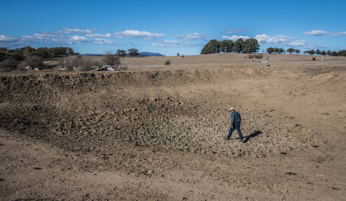 Braidwood farmer Mark Horan walks through one of the 20 dried dams on his property.  As a NSW farmer, he is eligible for transport subsidies, but nearby farmers in the ACT are not. Photo: Karleen Minney