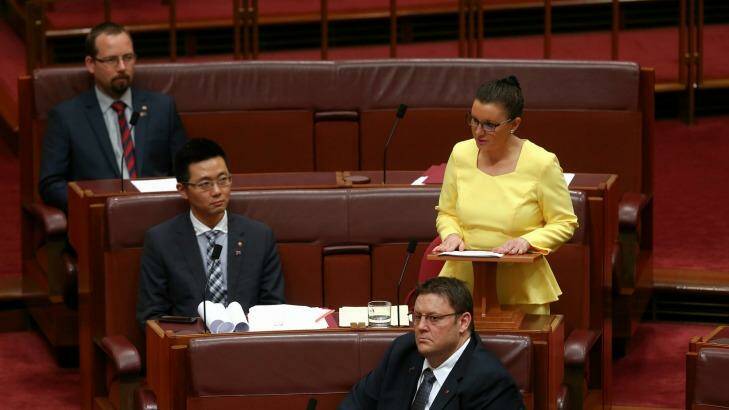 Palmer United Party senator Jacqui Lambie used her maiden speech to reiterate her calls for a royal commission into the Australian Defence Force and the Department of Veterans Affairs. Photo: Alex Ellinghausen
