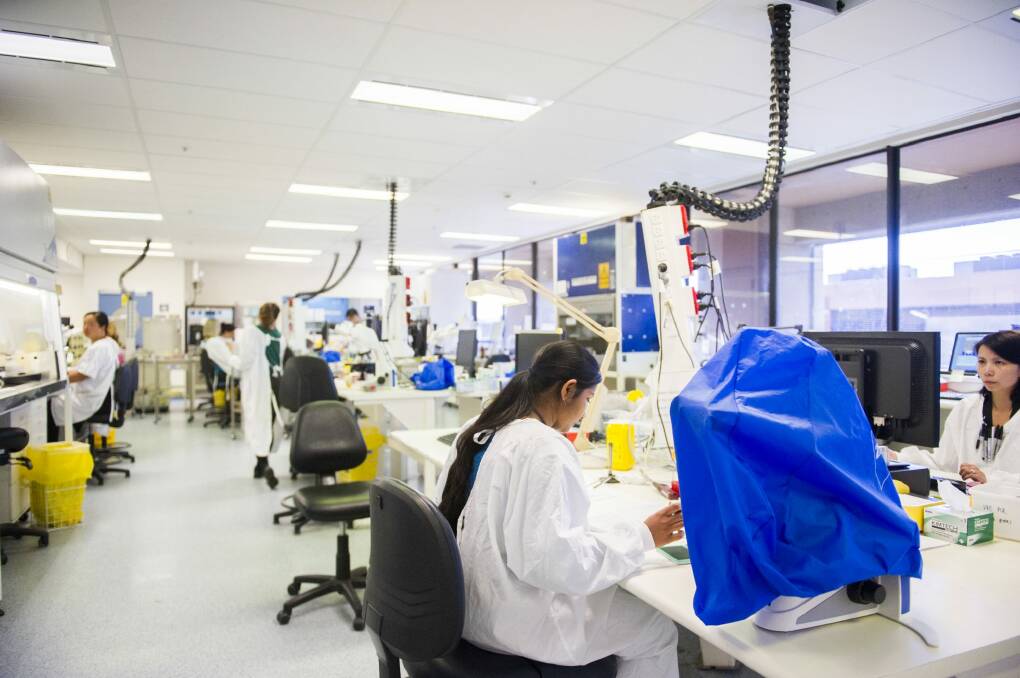 Workers in a Pathology laboratory at The Canberra Hospital. 
 Photo: Rohan Thomson