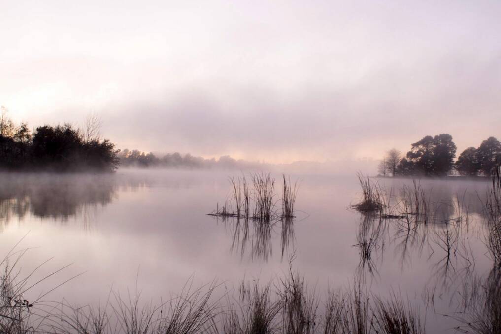 Steam rises off Lake Burley Griffin on a misty morning shortly after sunrise. Photo: Bradley Schulz