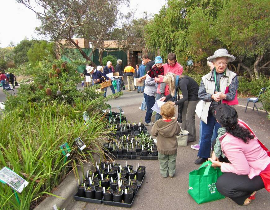 Visitors at the Growing Friends plant sale at the ANBG. Photo: Supplied