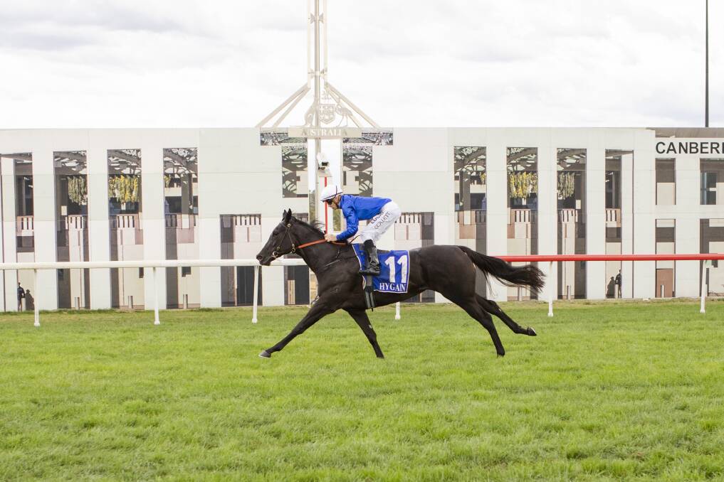 Jason Collett and Pin Sec cruised to victory in the Black Opal Stakes. Photo: Jamila Toderas