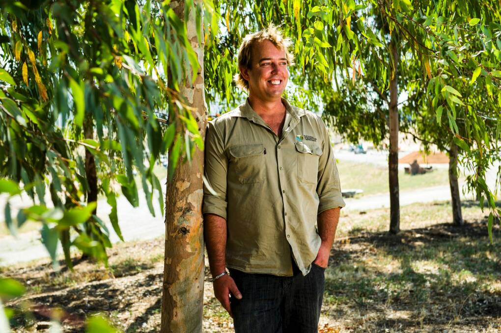 The National Arboretum's Adam Burgess planted the first tree  at the arboretum, a gum tree. Photo: Rohan Thomson