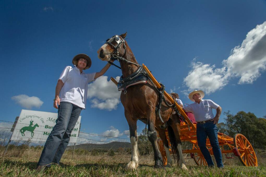 Majura Valley Bush festival organisers Sherry McArdle-English and brothers Shane (left) and Paul Keir prepare for the upcoming festival.  Photo: Karleen Minney