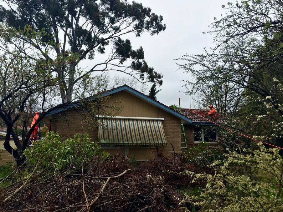 ACT State Emergency Service volunteers clear debris out of overflowing gutters. Photo: Katie Burgess