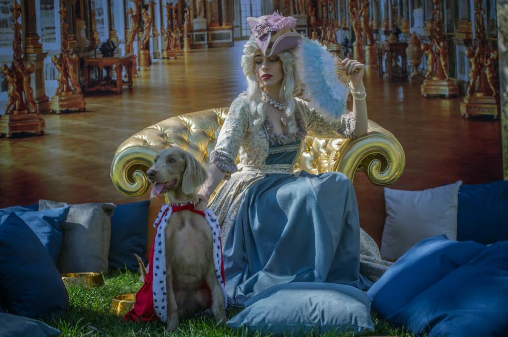 Marie Antoinette (aka Claire Mackey) and Stella dress up in preview for the NGA's Paws for Art event on Jan 21.  Photo: Karleen Minney