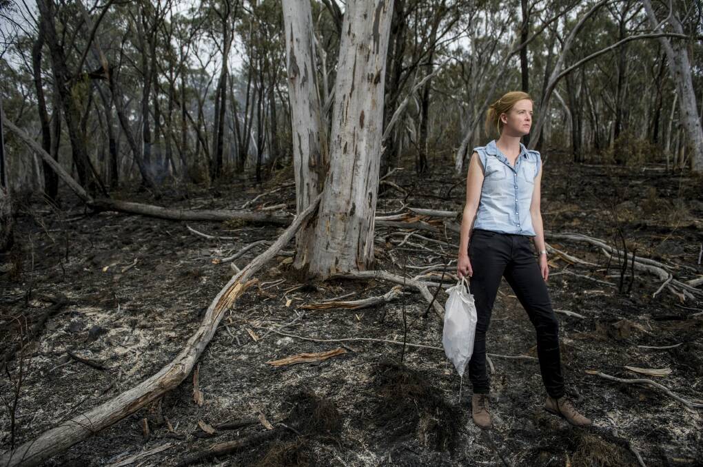 The ANU's Dr Annabel Smith has found current approaches to controlled hazard-reduction burns could have adverse effects on the genetic diversity of animal and plant populations.  Photo: Jay Cronan