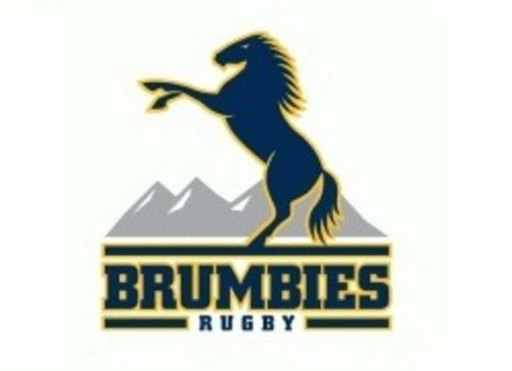 Brumbies Logo