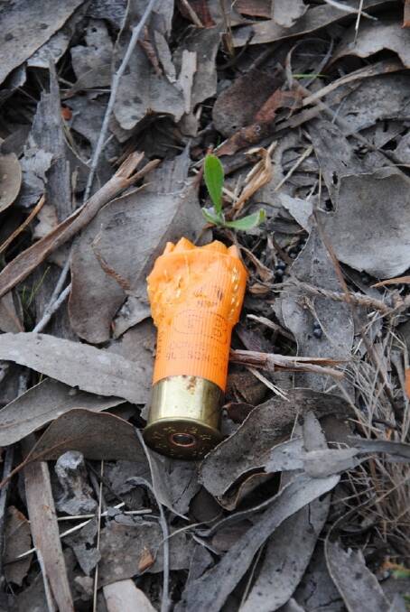 The shotgun shell found nearby. Photo: ACT Policing