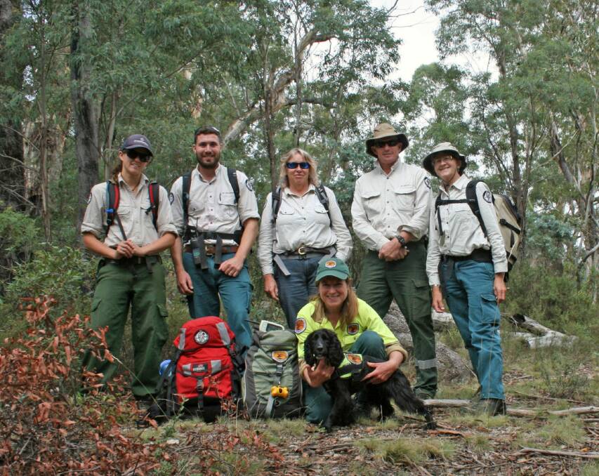 Joint NSW National Parks and Wildlife Service and ACT Parks and Conservation hawkweed search team.  Photo: Unknown