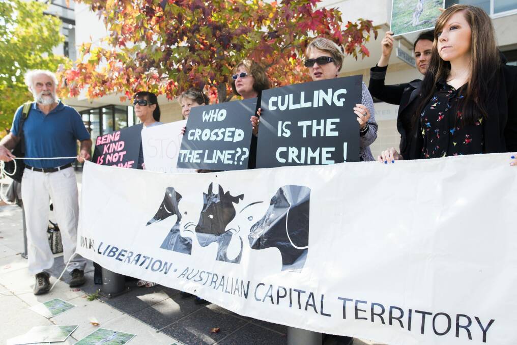 Animal activists protest outside the magistrates court on Friday. Photo: Rohan Thomson