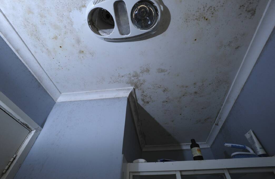 The bathroom's ceiling is covered in mould. Photo: Graham Tidy