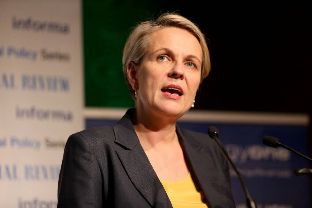 Labor's Tanya Plibersek says it was the right decision for the Gillard government to promise that no school would be worse off under the Gonski funding reforms.  Photo: Wayne Taylor