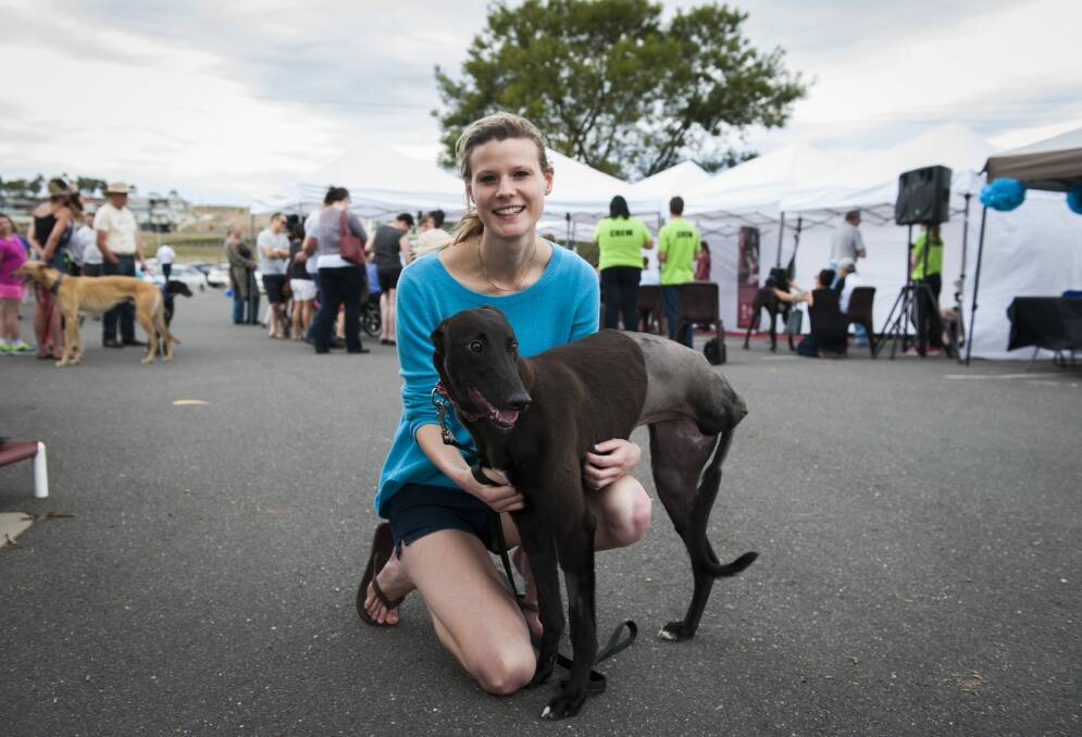 With top fundraiser Gabi Openshaw and her three-legged greyhound Lucky. Photo: Elesa Kurtz